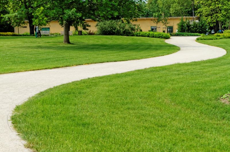 Curb And Sidewalk Installation