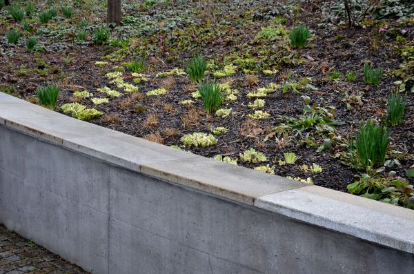 Concrete Wall Construction in Delaware