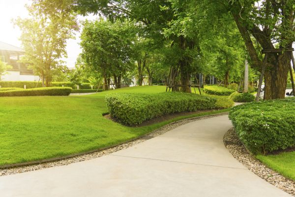 Walkway Concrete Installation in Delaware