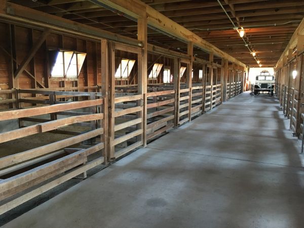 Barn Floor Pouring in Delaware
