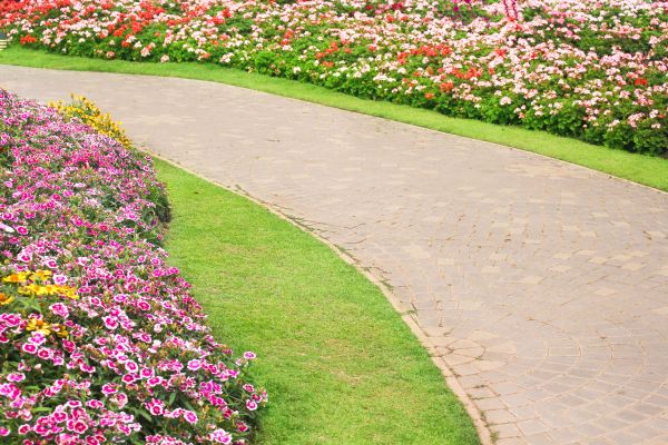 Concrete Walkway Service in Delaware